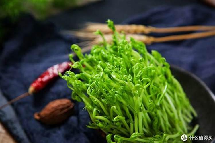 立春后宝宝吃什么食物