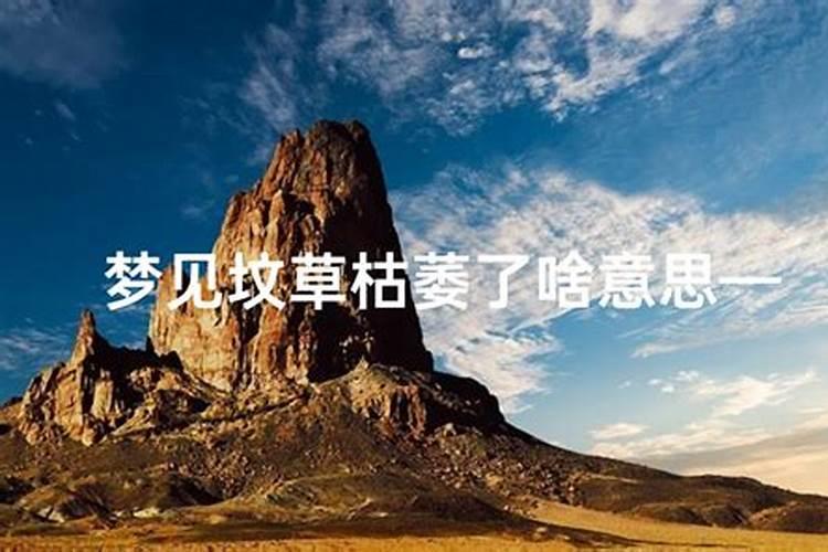 替身怎么送的,要送几次呢？