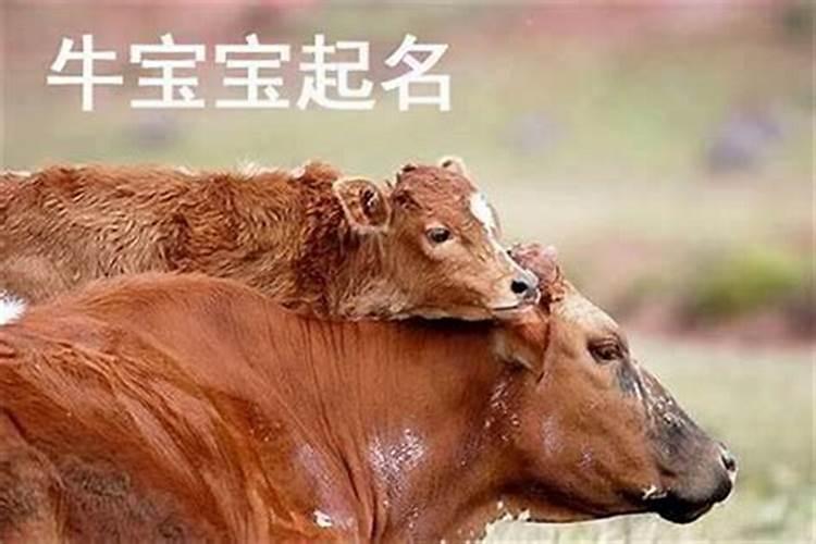 有朋友今天犯太岁, 我送他化太岁锦囊 可以吗