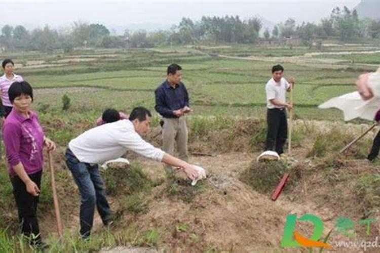 清明节有哪些习俗