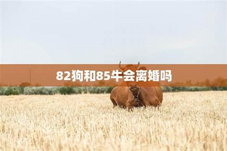 元宵节儿童趣味灯谜 儿童元宵节趣味灯谜及答案精选