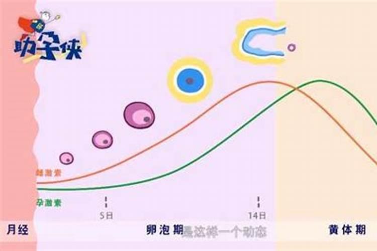2025年属猴人的全年运势