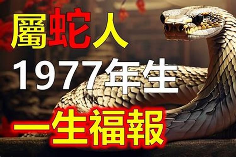 九月九如何供奉仙家