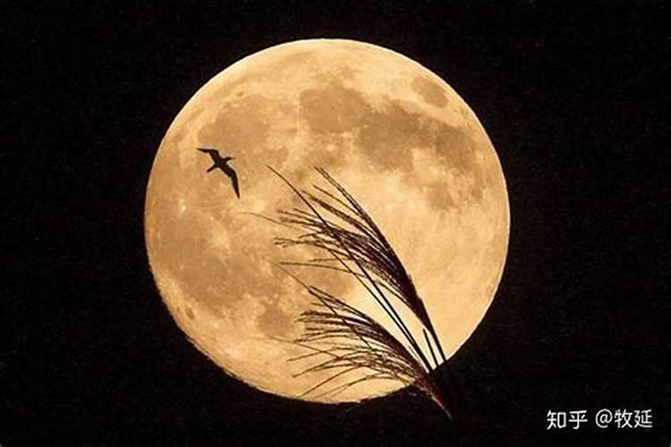 梦见朋友生二胎