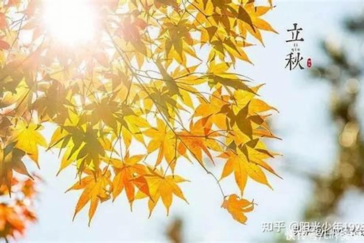 梦见妹妹嫁给原来的朋友