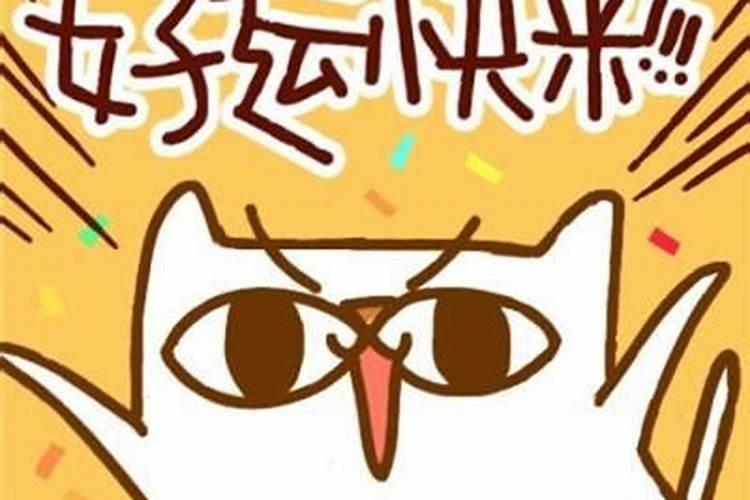 道符的常见的道符