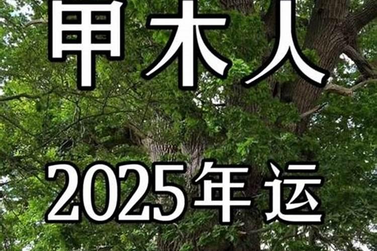 请高手分析下这个八字,身弱财极旺,土旺,2024年进入癸亥大运,是不是行...