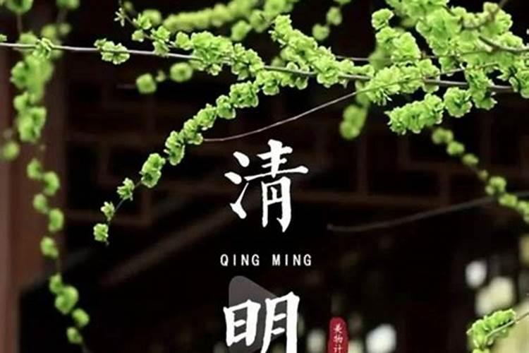 虎和鼠做生意合不合财