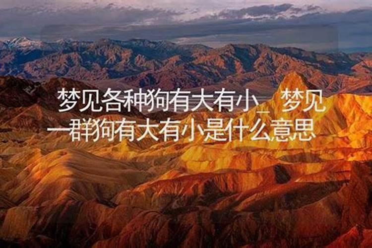 梦到看到女人隐私是什么预兆