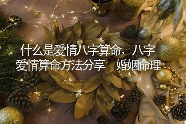 女主叫灵犀有两个师父是什么小说