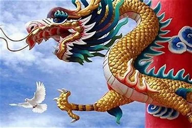 2025属虎人的全年运势如何