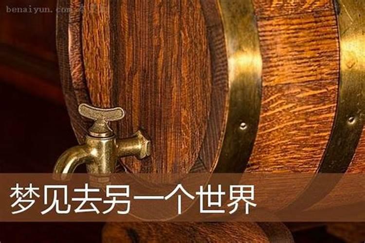 属马的人2025年的运势及运程每月运势如何