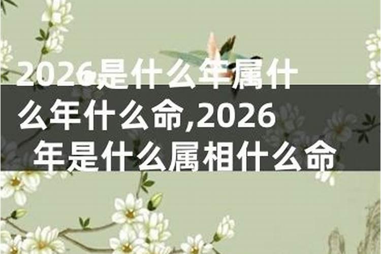 请问深圳凤凰山怎么求平安福？大概多少钱？