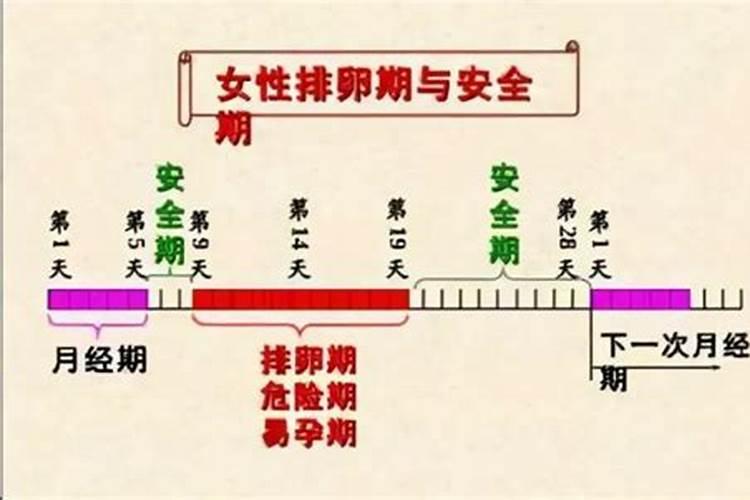 1981年属鸡2025年每月运势运程