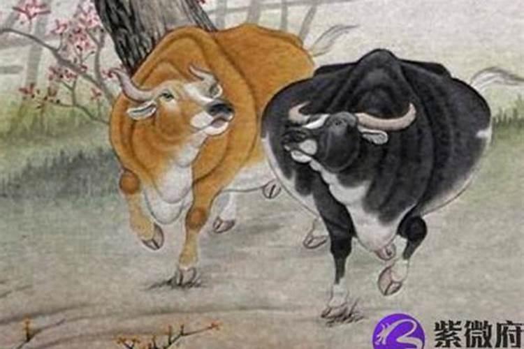 文昌塔摆件是九层还是十三层好