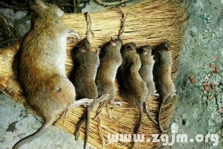 梦见用刀子划破了手流血了的预兆