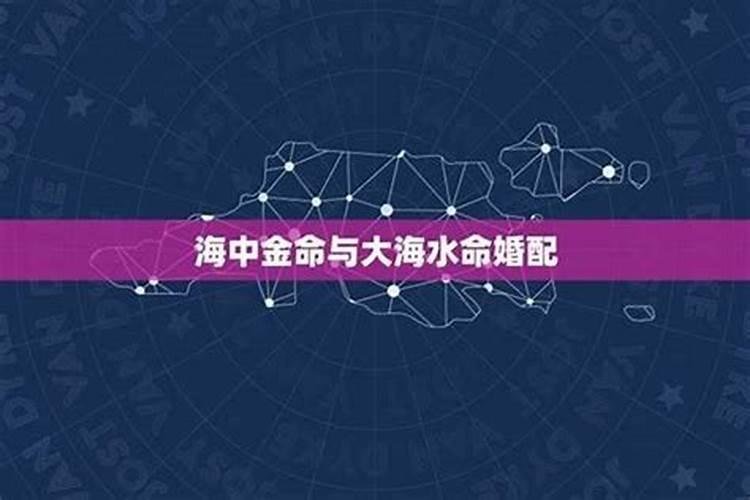 1975属兔女在2025年的每月运势