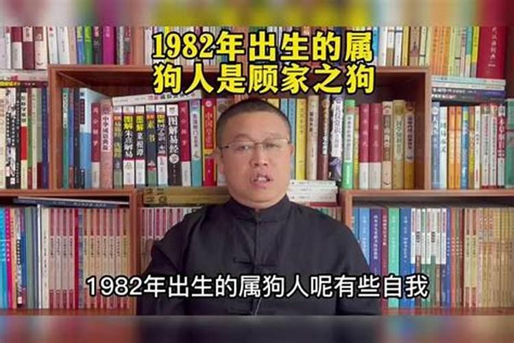 1982年属狗人2024年每月运势及运程
