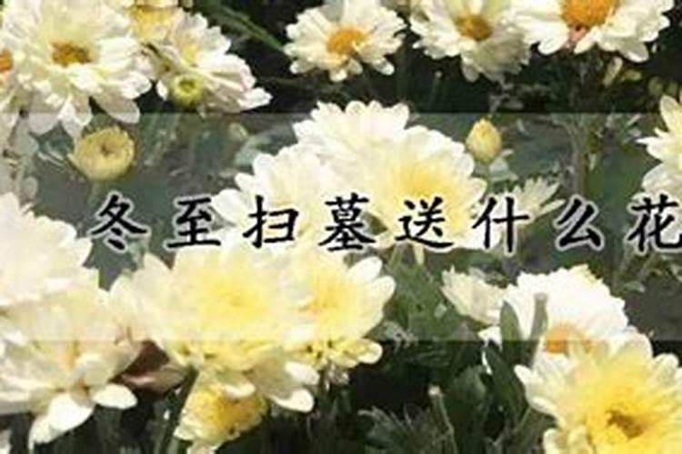 梦见了以前的老婆我自己哭了