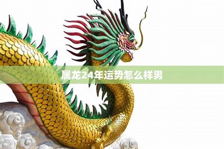 十二生肖2024表