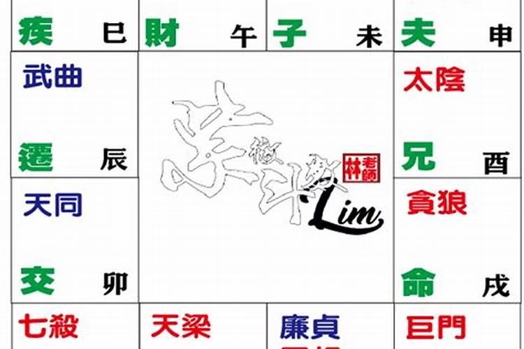 求大师详解紫微命盘,贪狼擎羊入命？