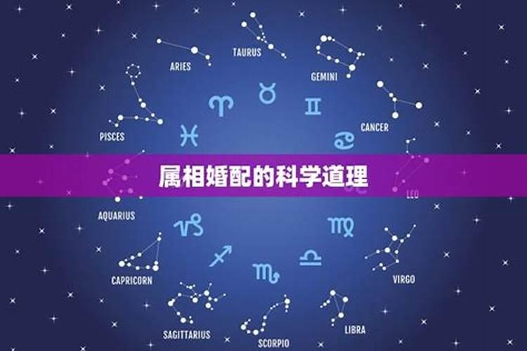 上海冬至有什么习俗,你知道吗