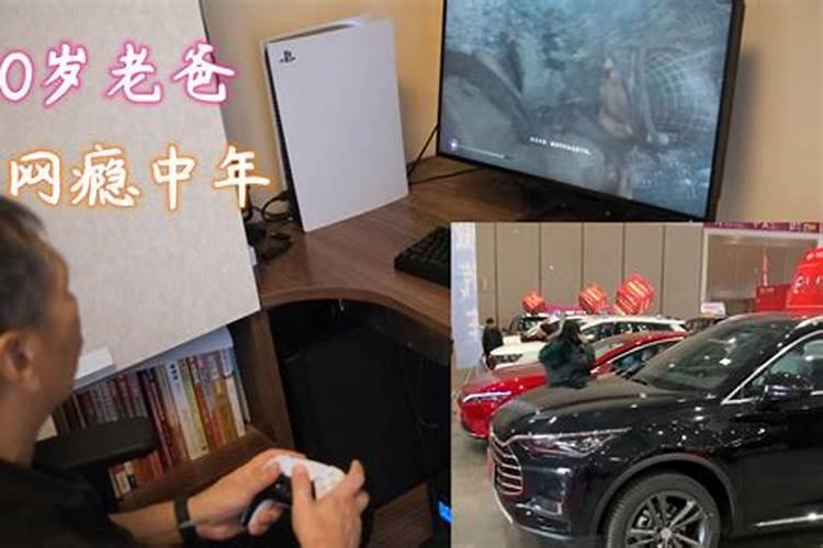 什么属相适合养猫哪个生肖适合养猫