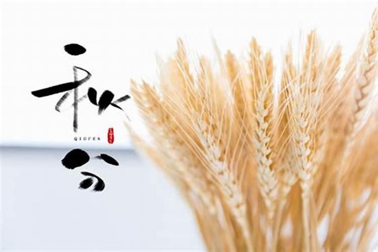 春节那段时间广州地铁晚上是几点停止运行