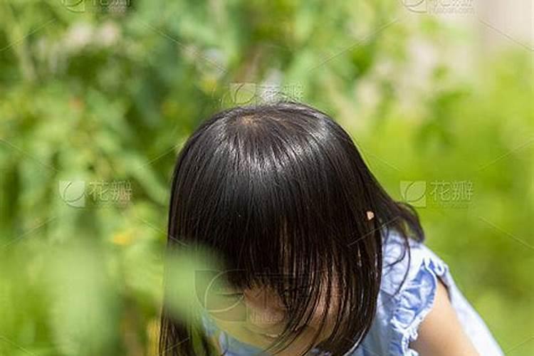 梦见了摘西瓜