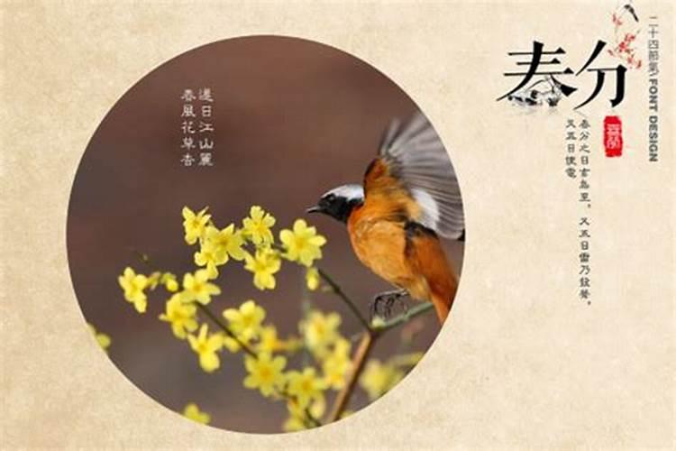 春晚是除夕晚上还是春节晚上 春晚是什么时候播
