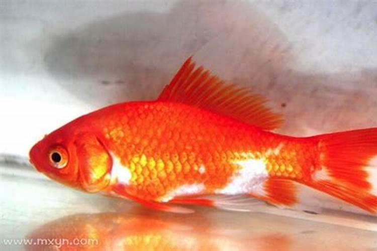测字算姻缘,测字姻缘谁给测测？