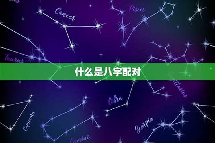 求高人给我指点一下,八字合婚