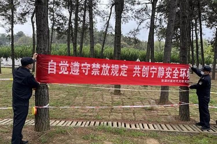 山东清明上坟有什么讲究