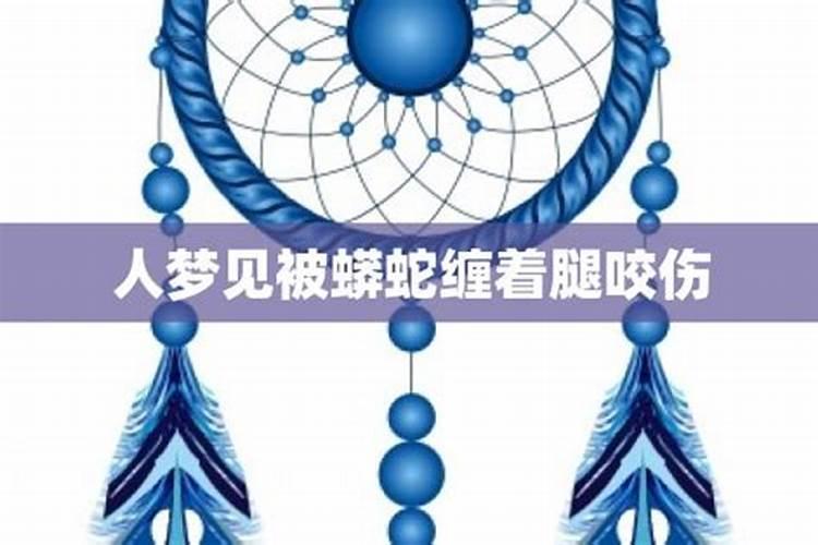 梦见大蟒蛇要咬我