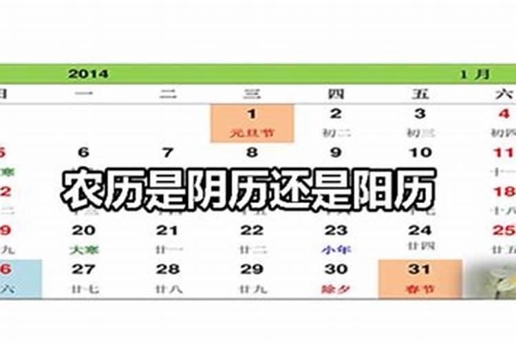 2024年农历十月初一宜修建坟墓吗 2024年11月1日修建坟墓好不好