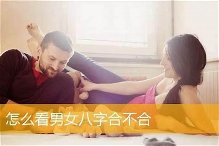 生肖马2025年犯太岁吗