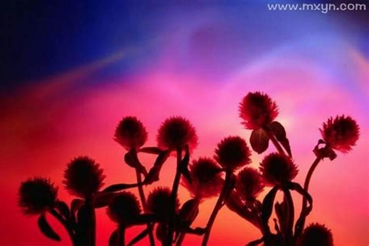 梦见奶奶死了现实中没死