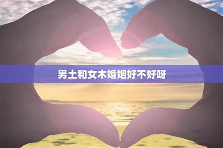 男水命和女木命在一起好吗