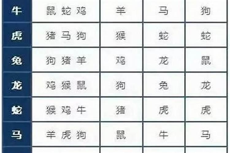 八字合婚:属鼠的女人与属牛男合不合财 适合做夫妻吗