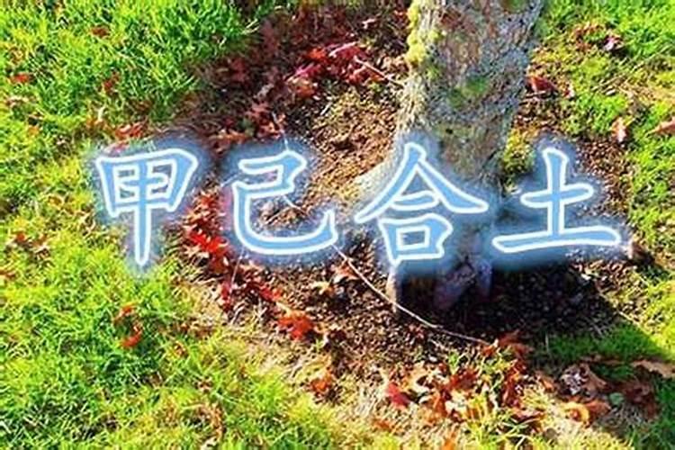 合婚主要看日柱吗 八字日柱相合注定是夫妻吗？