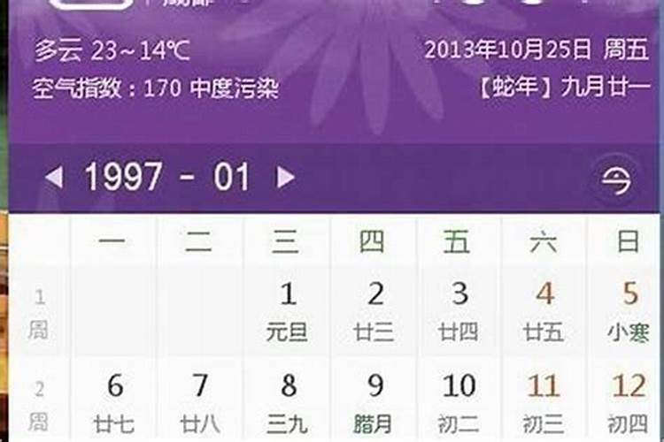 2025年属猪的全年运势