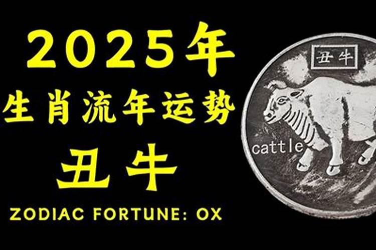 今年犯太岁的属相有哪些？