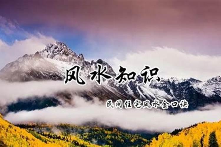 真童子的人生最后结局