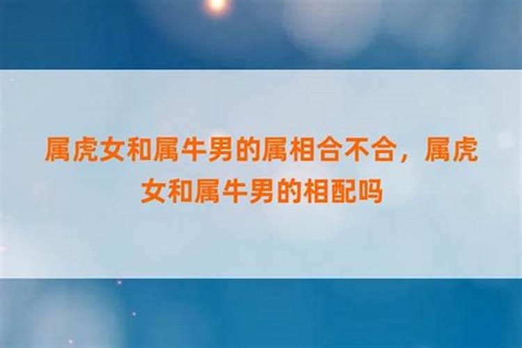 农历十月初一生的人有什么说法