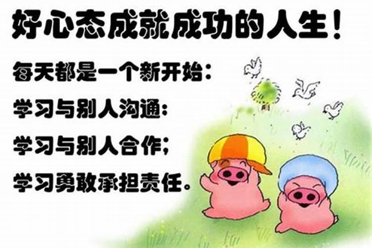 鸡和兔子属相合不合