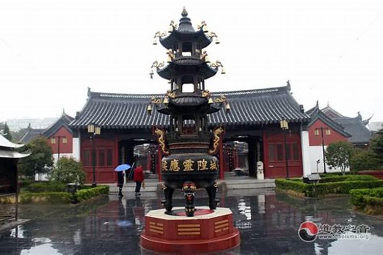 为什么属鸡的人没运气