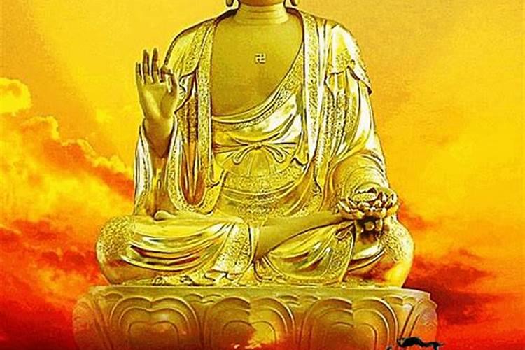 请教一下各位,“太岁”是个什么东西？是植物还是动物？真的会慢慢长大吗...