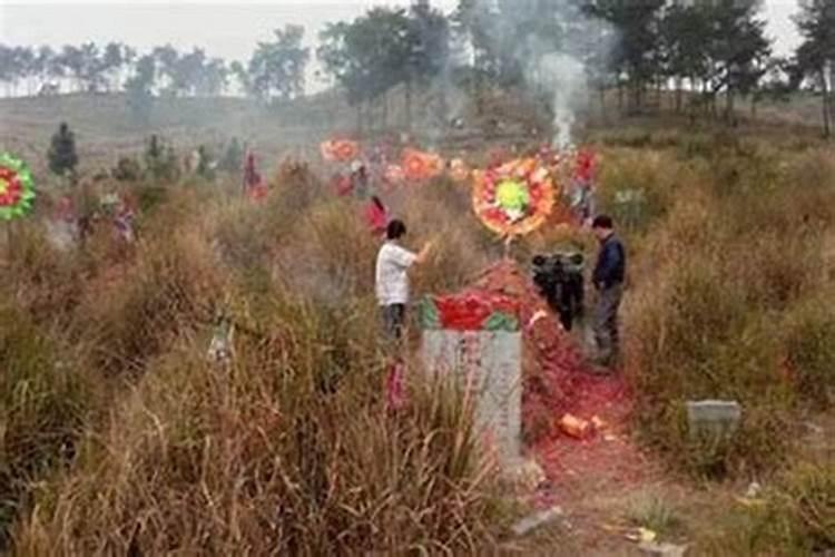 本命年犯太岁什么意思