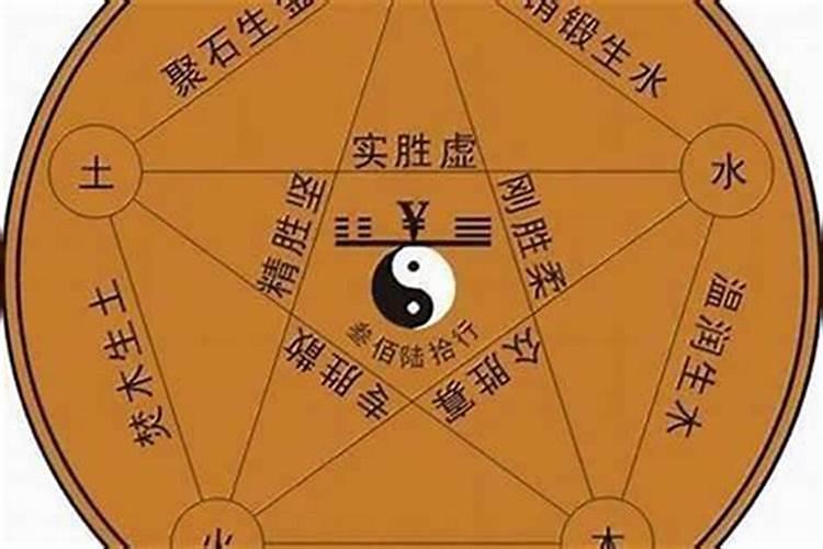 12生肖养什么植物最旺自己的财运