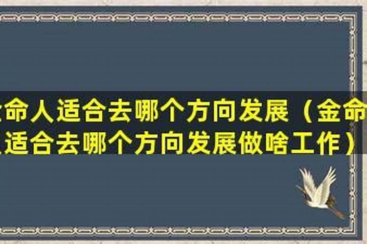 金命做什么工作比较旺？